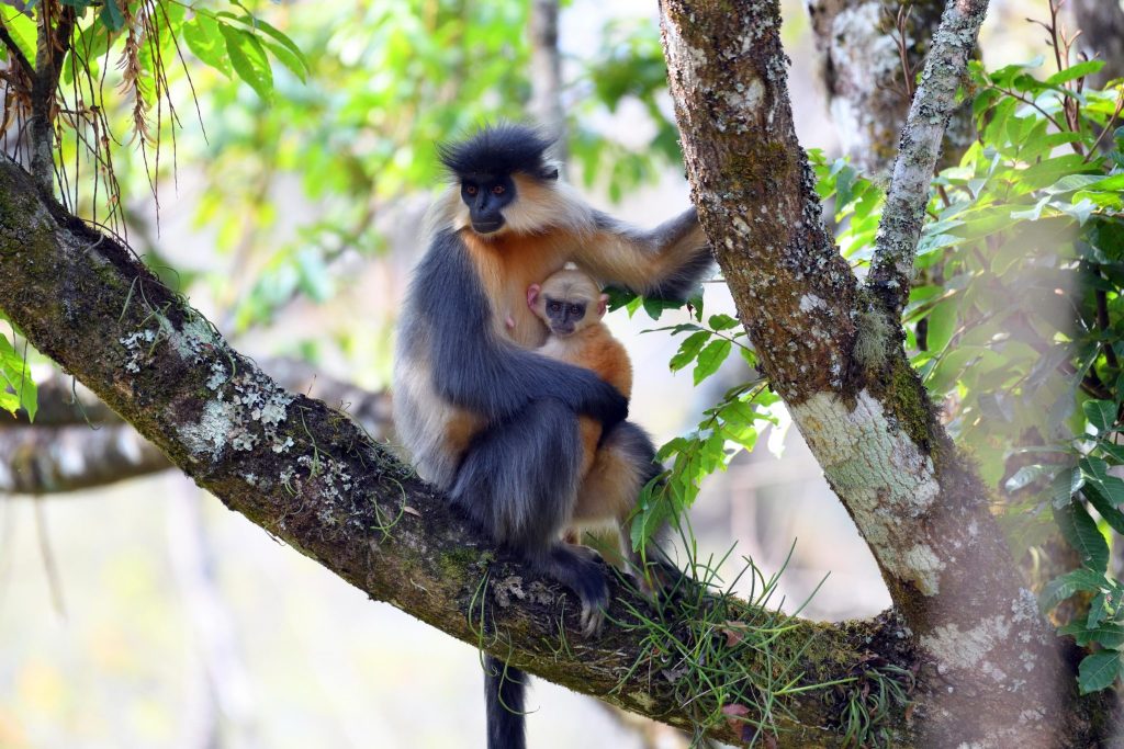 17 Nights - Across Bhutan