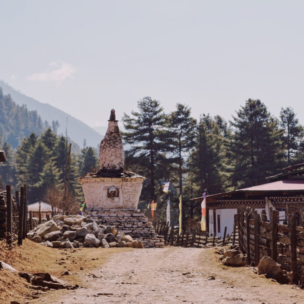 Processed with VSCO with au5 preset