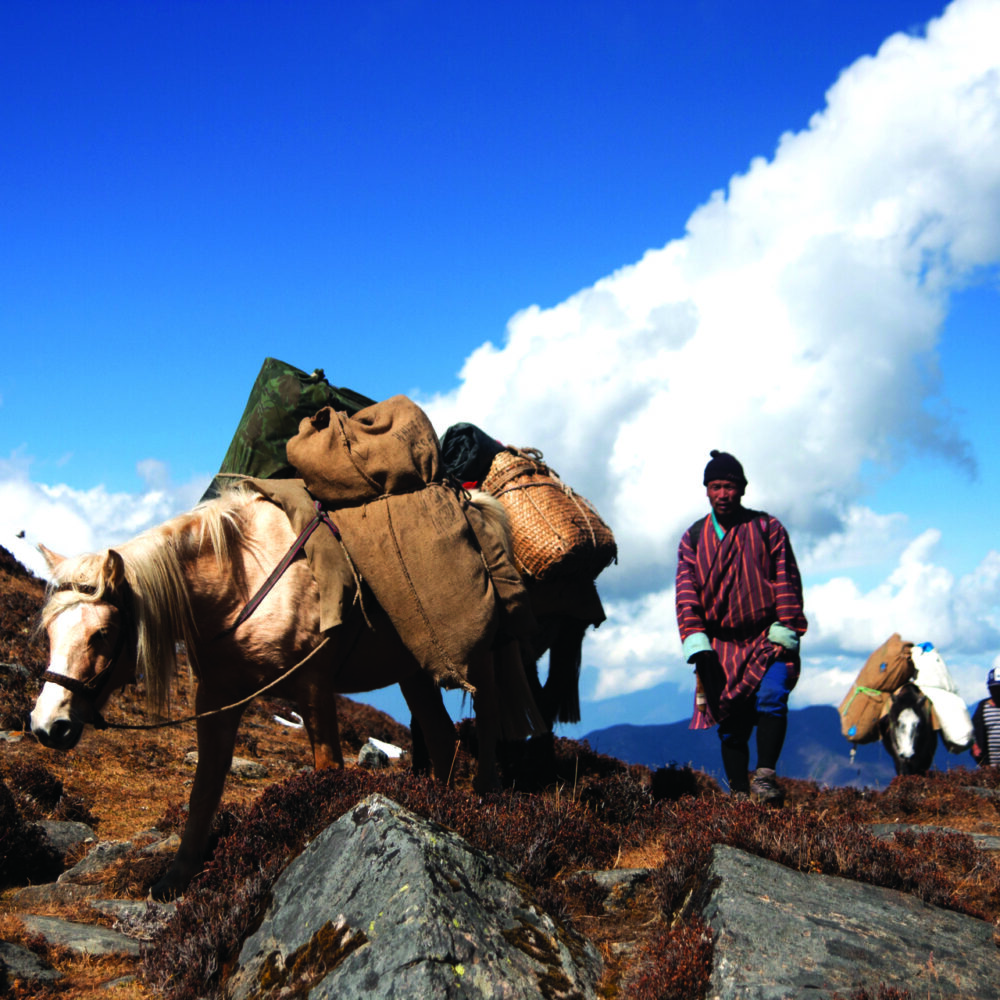 2. Dagala Thousand Lake Trek