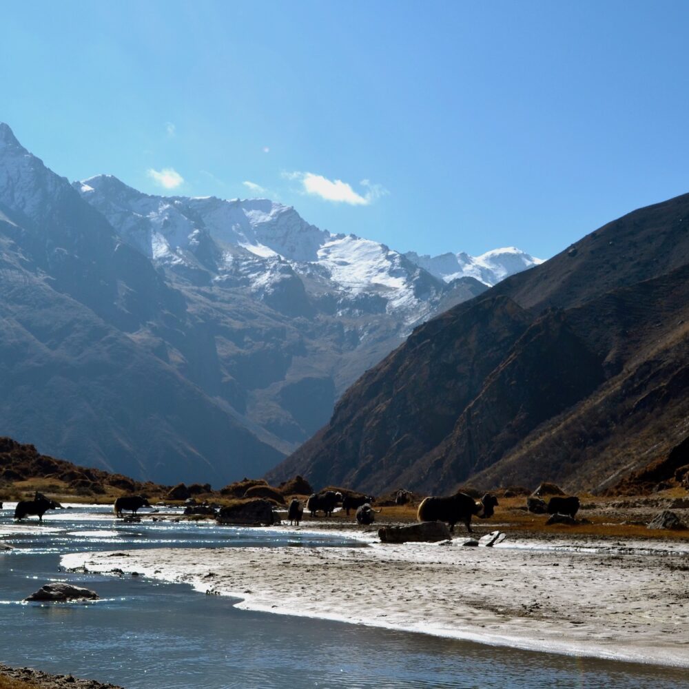 6. Jhomolhari Trek